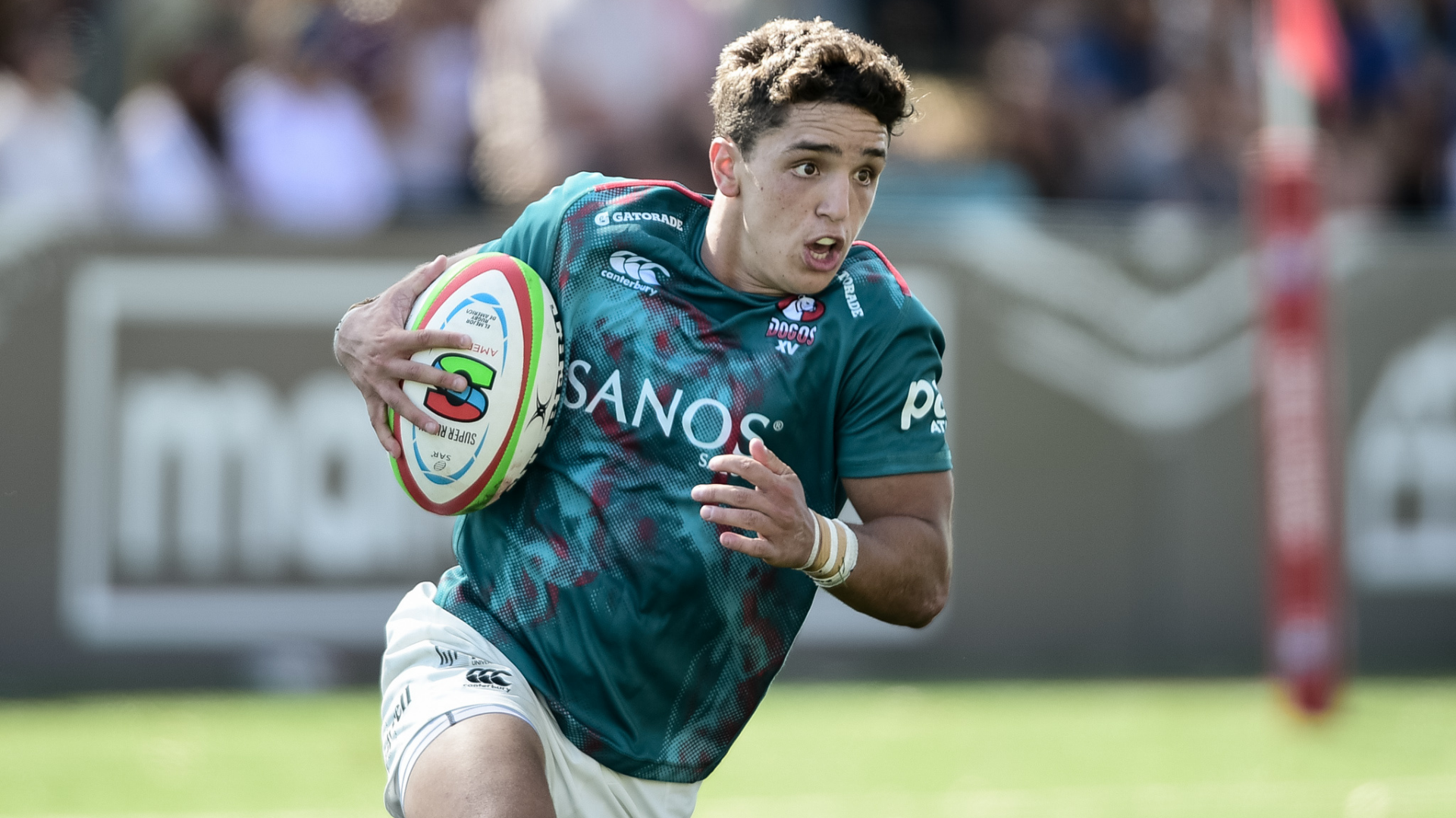 Agustin tutin moyano dogos xv